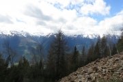 IMG_0062