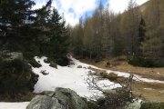 IMG_0069