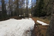IMG_0074