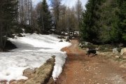 IMG_0076