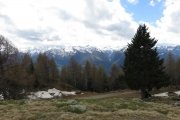 IMG_0080