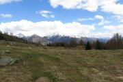 IMG_0081
