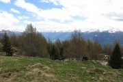 IMG_0086
