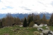 IMG_0087