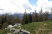 IMG_0090