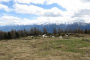 IMG_0093