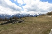 IMG_0098