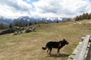 IMG_0099