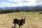 IMG_0103