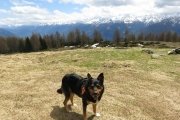 IMG_0104