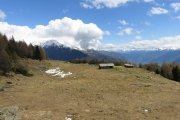 IMG_0114