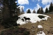 IMG_0115