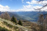 IMG_0118