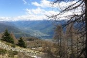 IMG_0121