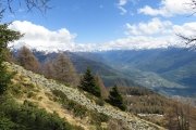 IMG_0124
