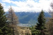 IMG_0127