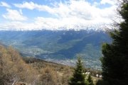 IMG_0131