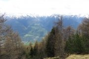 IMG_0132