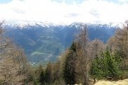 IMG_0134