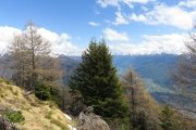 IMG_0136