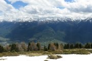IMG_0140