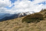 IMG_0154
