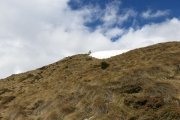 IMG_0174
