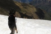 IMG_0211