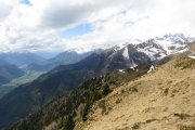 IMG_0220