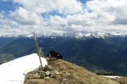 IMG_0227