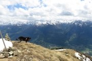 IMG_0228