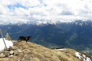 IMG_0229