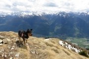 IMG_0237