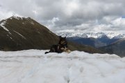 IMG_0239