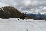 IMG_0241