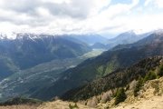 IMG_0244