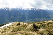 IMG_0287