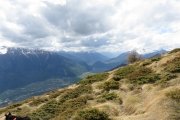 IMG_0291