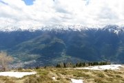 IMG_0294