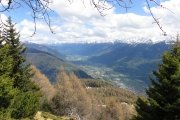 IMG_0299