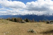 IMG_0302