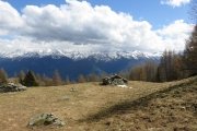 IMG_0305