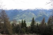 IMG_0307