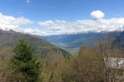 IMG_0310