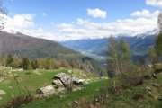 IMG_0313