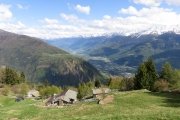 IMG_0315