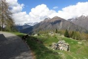 IMG_0316