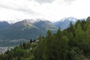 IMG_0322