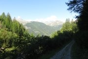 IMG_0002
