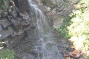 IMG_0004
